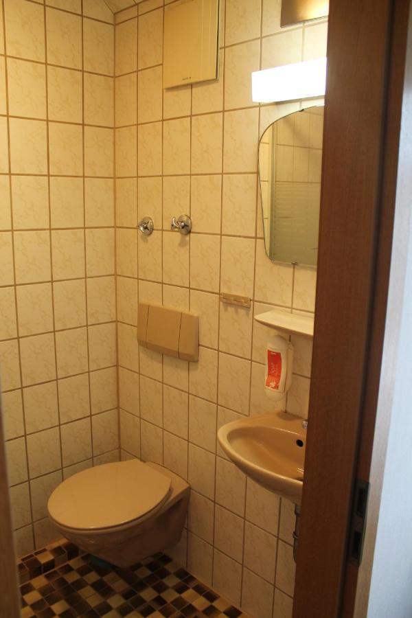 פרייבורג Gasthaus Zur Sonne מראה חיצוני תמונה